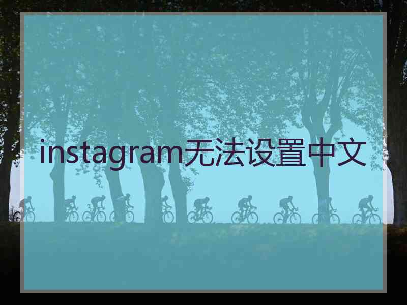 instagram无法设置中文