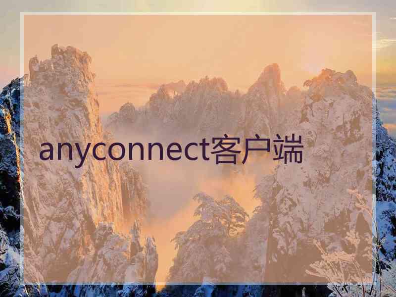 anyconnect客户端