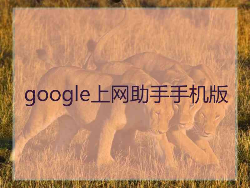 google上网助手手机版