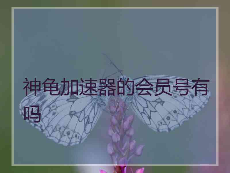 神龟加速器的会员号有吗