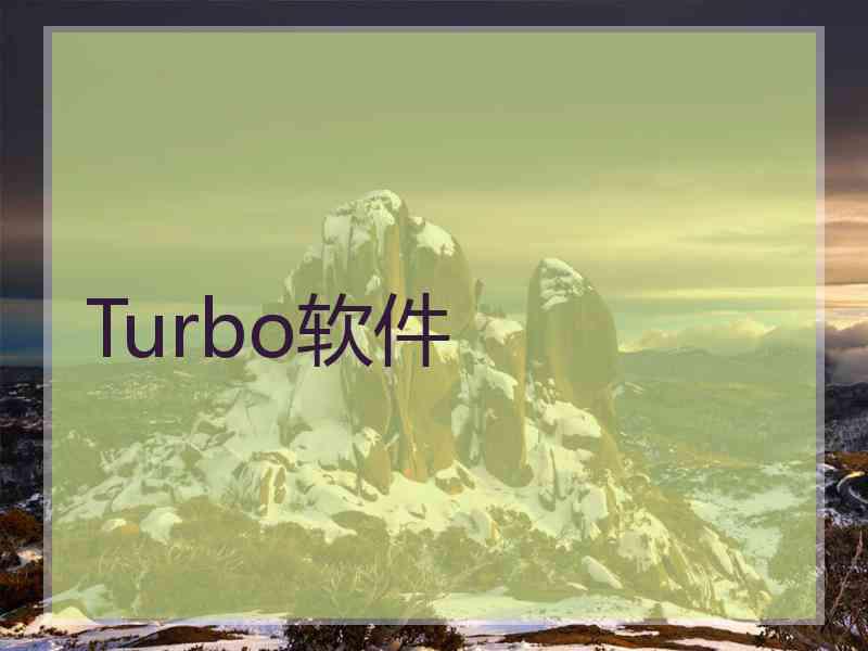 Turbo软件