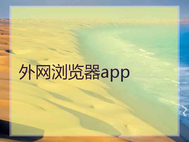 外网浏览器app