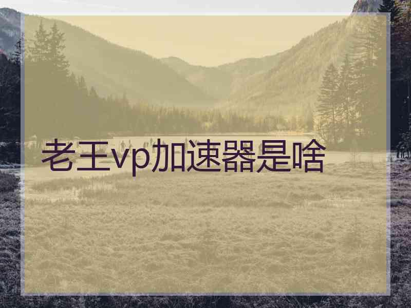 老王vp加速器是啥