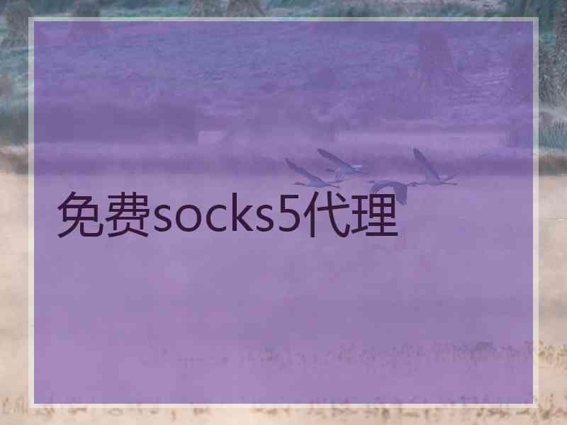 免费socks5代理