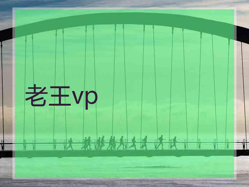 老王vp