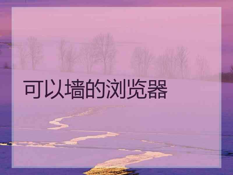 可以墙的浏览器