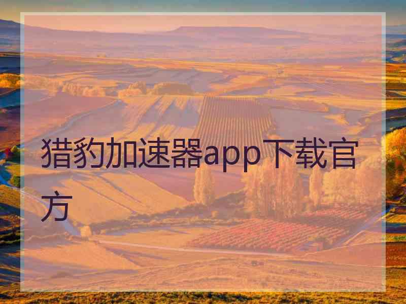 猎豹加速器app下载官方