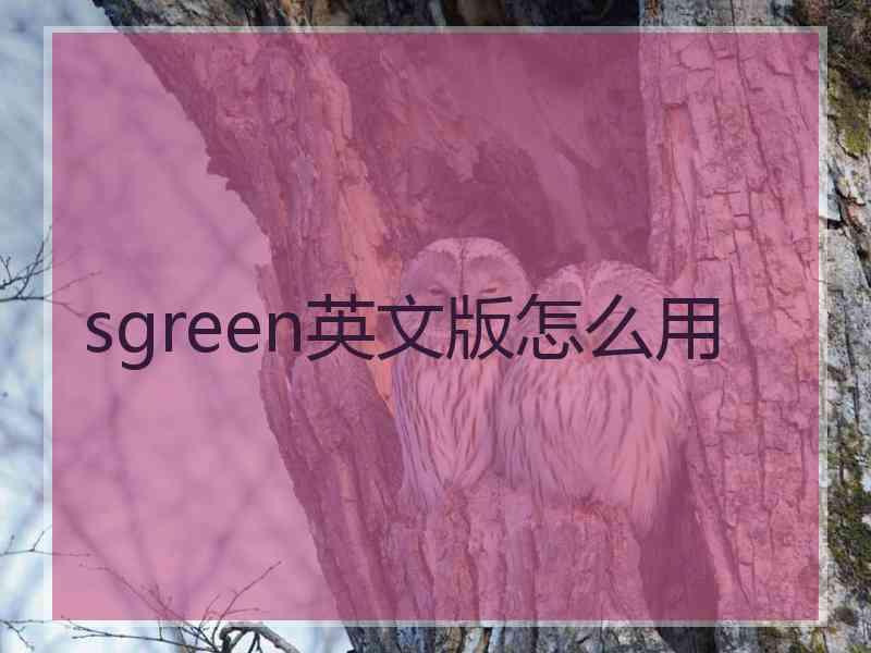 sgreen英文版怎么用