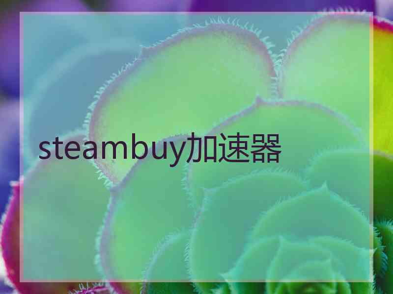 steambuy加速器